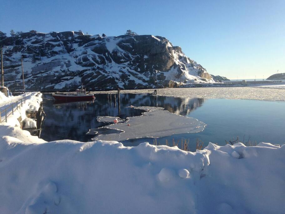 Tjodalyng - Ved Viksfjord - Sokkelleilighet ลาร์วิค ภายนอก รูปภาพ