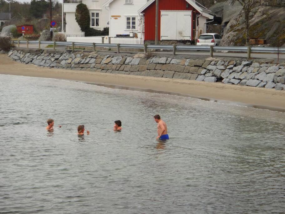 Tjodalyng - Ved Viksfjord - Sokkelleilighet ลาร์วิค ภายนอก รูปภาพ